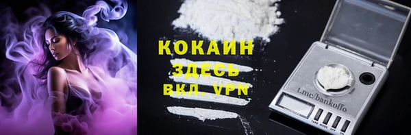 мяу мяу мука Бородино