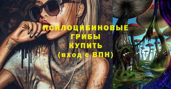 мяу мяу мука Бородино